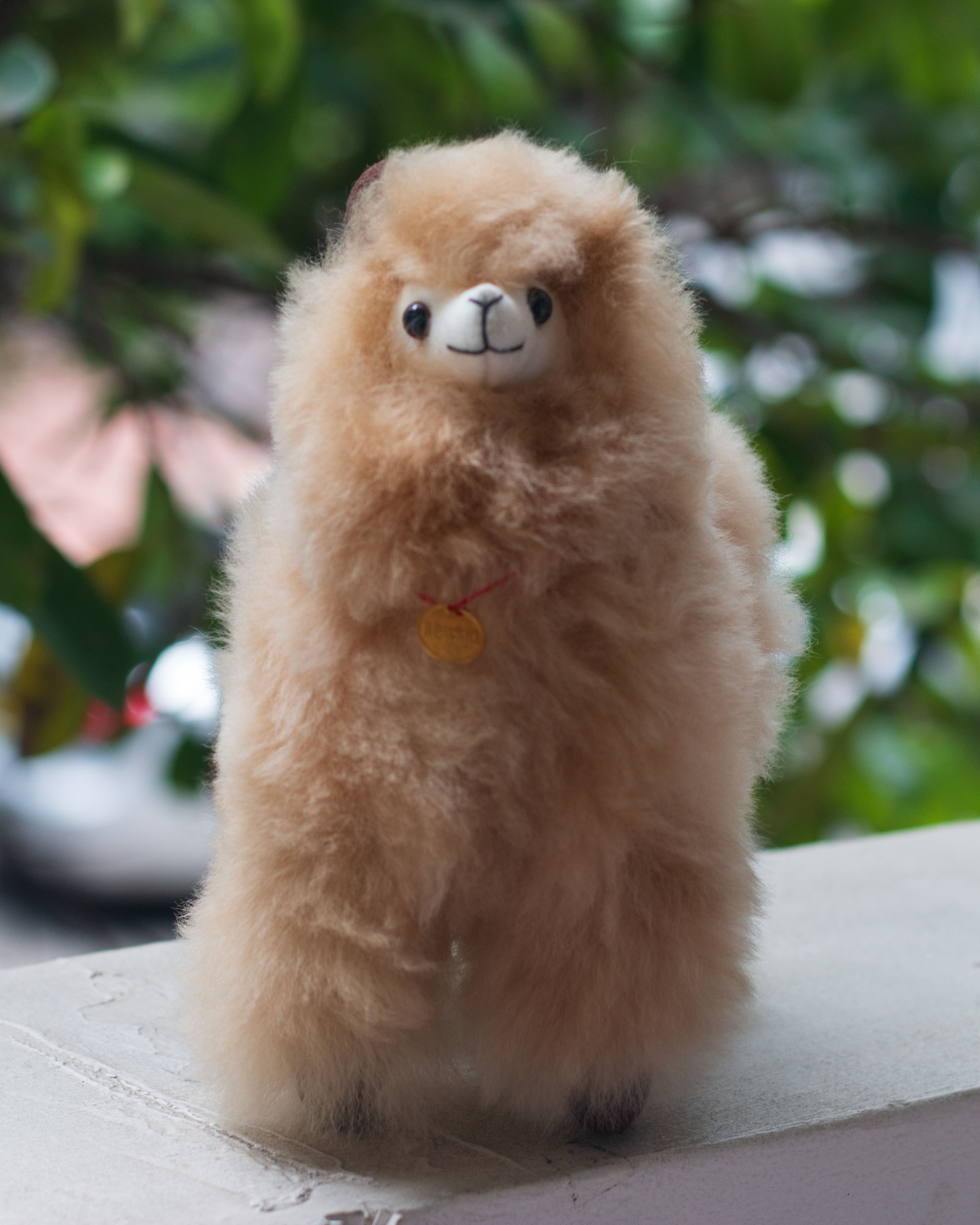 Alpaca baby color beige