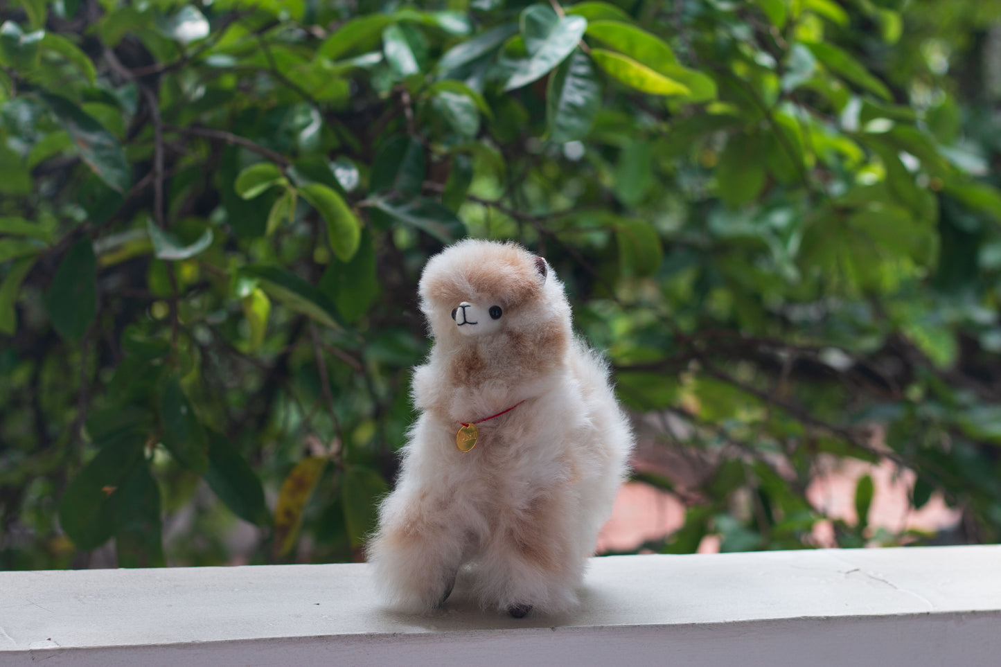 Alpaca baby marmoleado