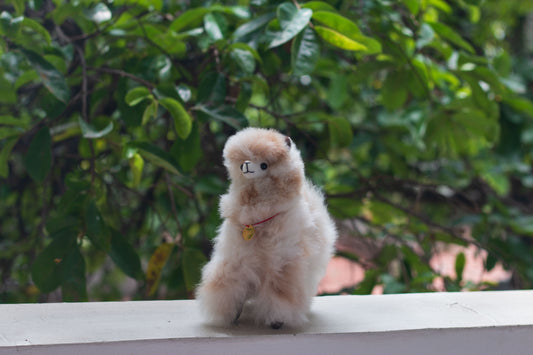 Alpaca baby marmoleado