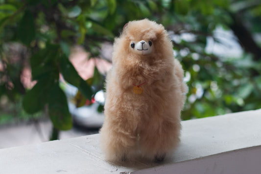 Alpaca baby color beige